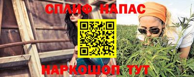 Альфа ПВП Будённовск