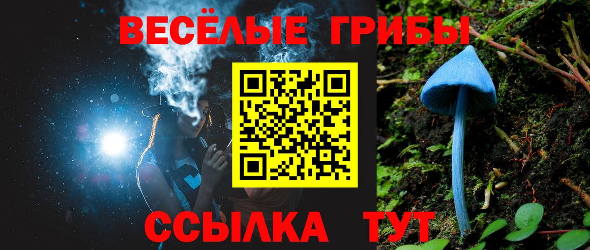 Галлюциногенные грибы GOLDEN TEACHER  Вход с VPN  Галлюциногенные грибы Magic Shrooms  Качканар 