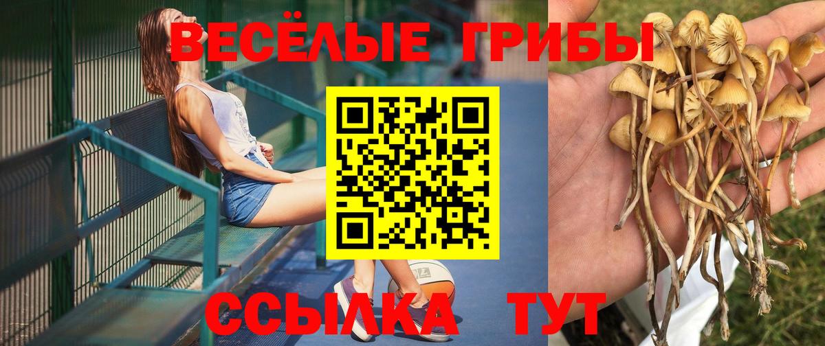 Галлюциногенные грибы прущие грибы Качканар